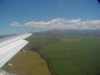 Sugarcane Fields in Maui Valley